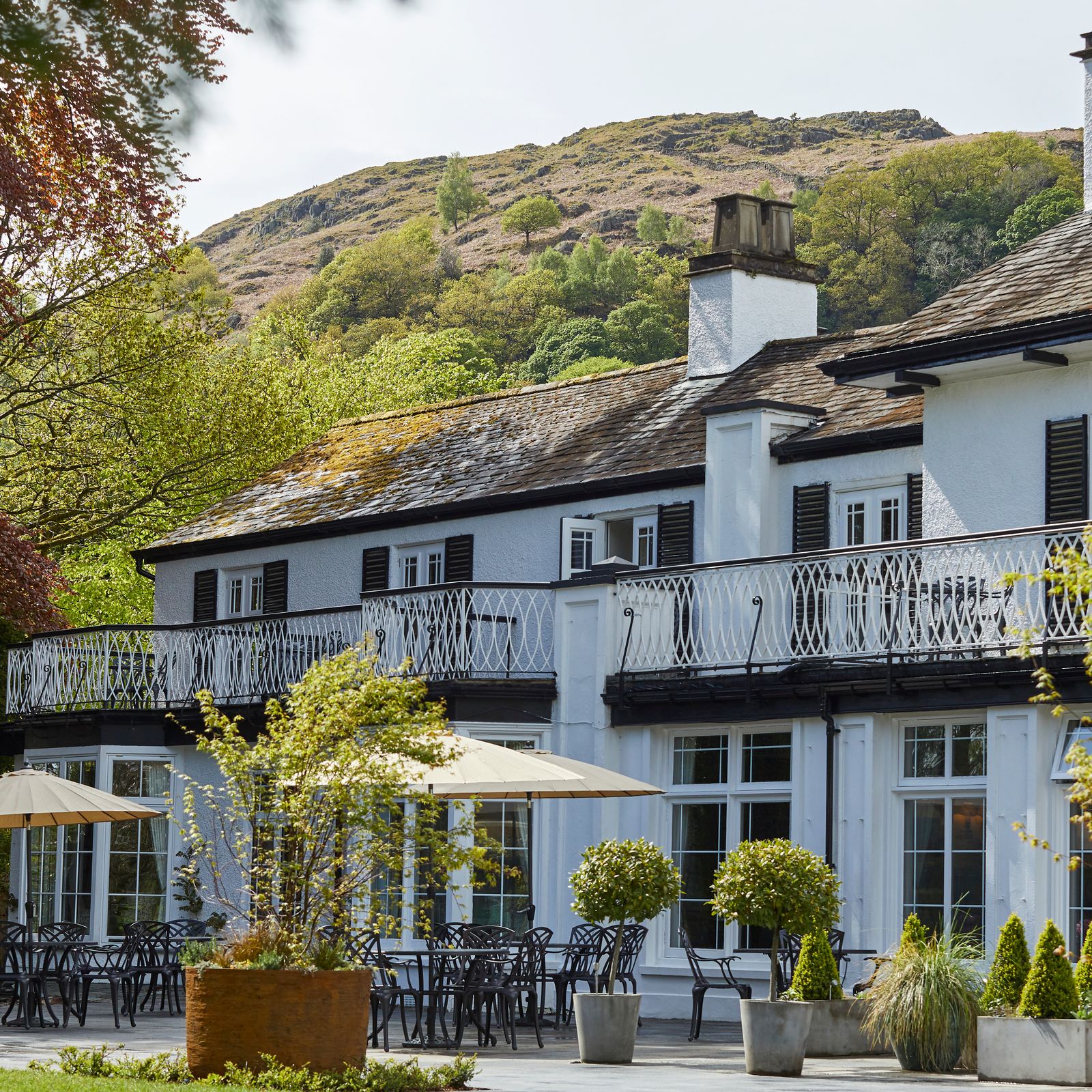 The best dog friendly hotels in the UK that don't scrimp on style
