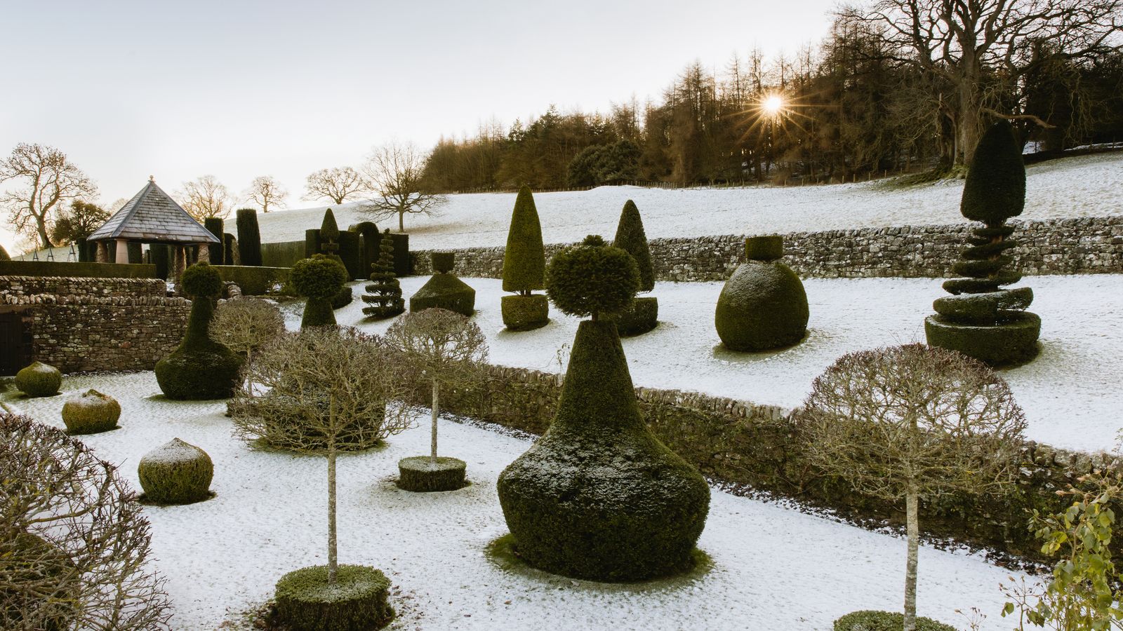 A Cumbrian garden with an inspired interpretation of the art of topiary