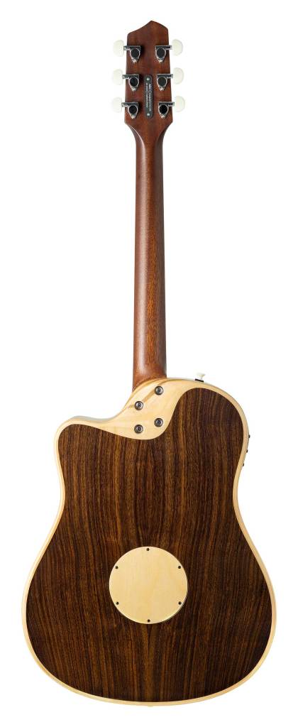 L.R. Baggs AEG-1 acoustic -electric guitar rear view. Courtesy of L.R. Baggs