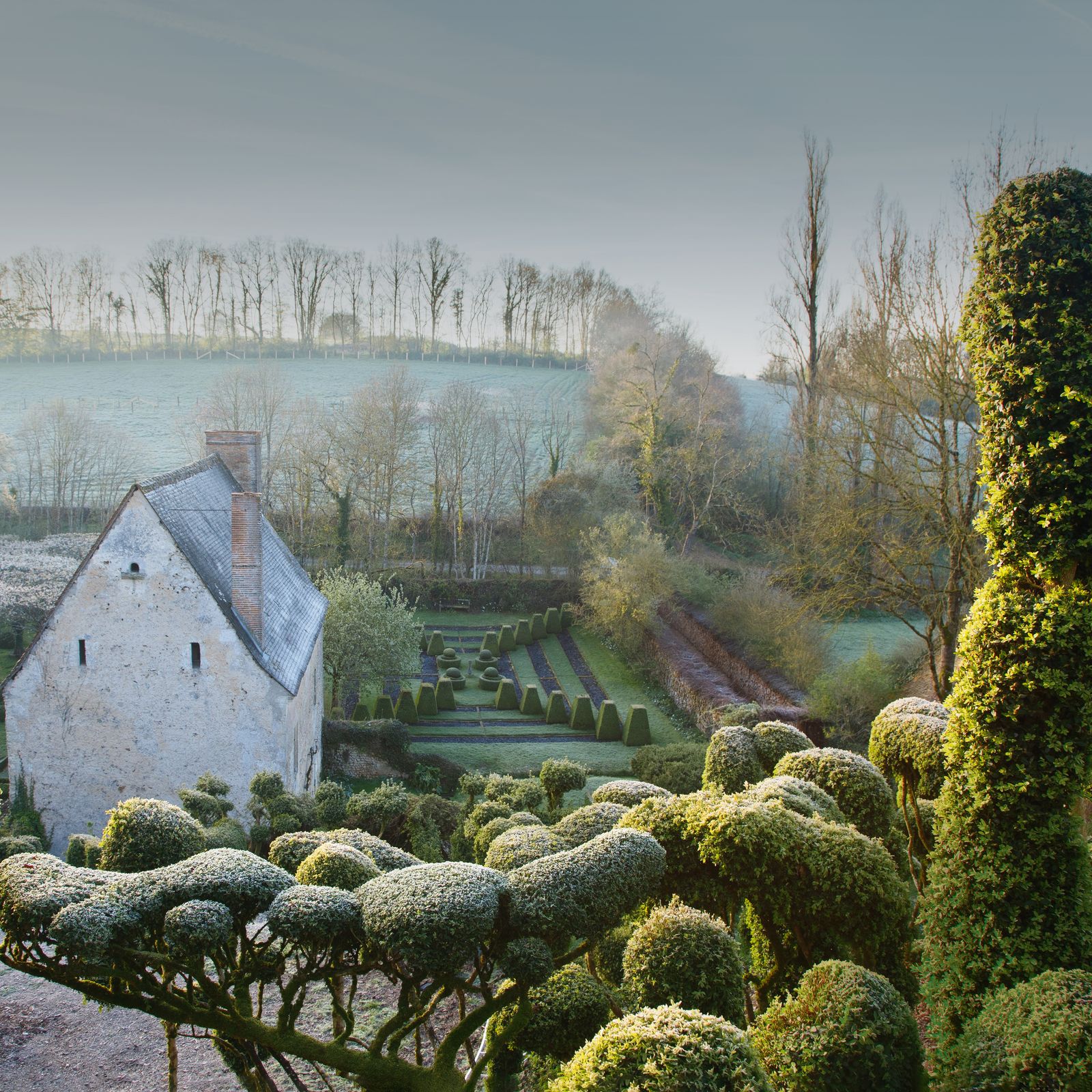 Clippable plants for shape and structure during winter