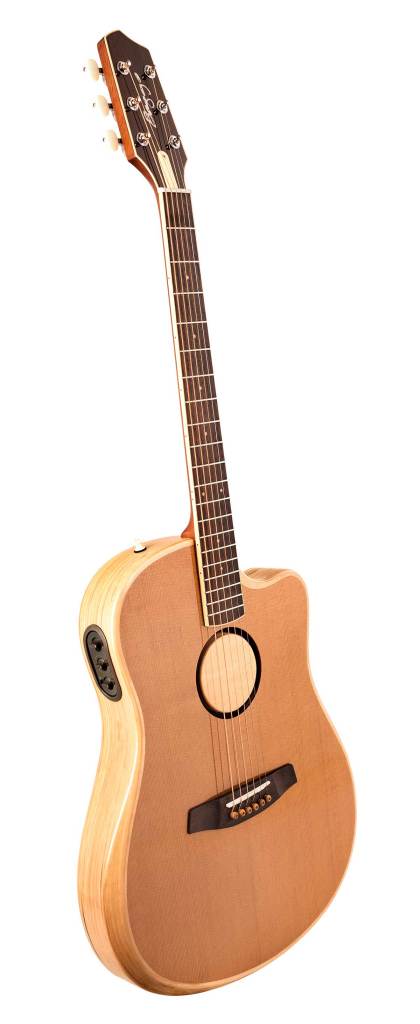 L.R. Baggs AEG-1 acoustic -electric guitar side view. Courtesy of L.R. Baggs