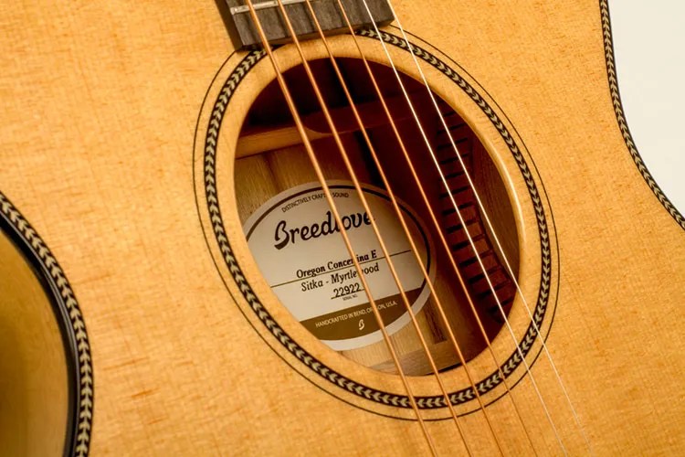 Breedlove Concertina E acoustic guitar soundhole