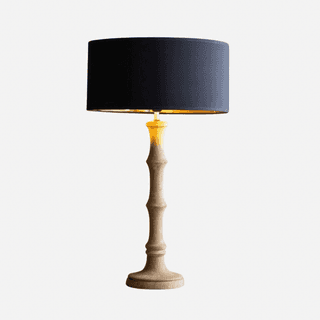 Image may contain Lamp Table Lamp and Lampshade
