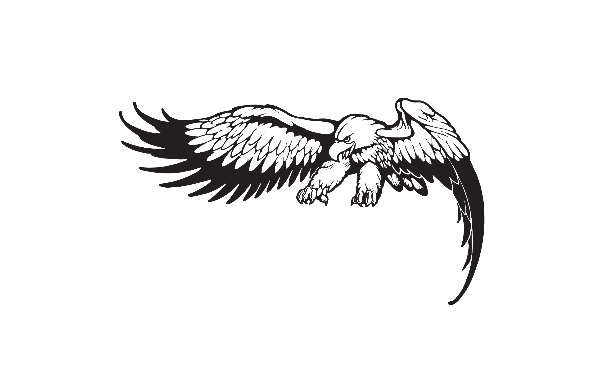 Ernie Ball